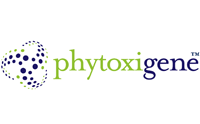 Phytoxigene