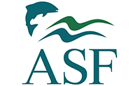 American Salmon Foundation