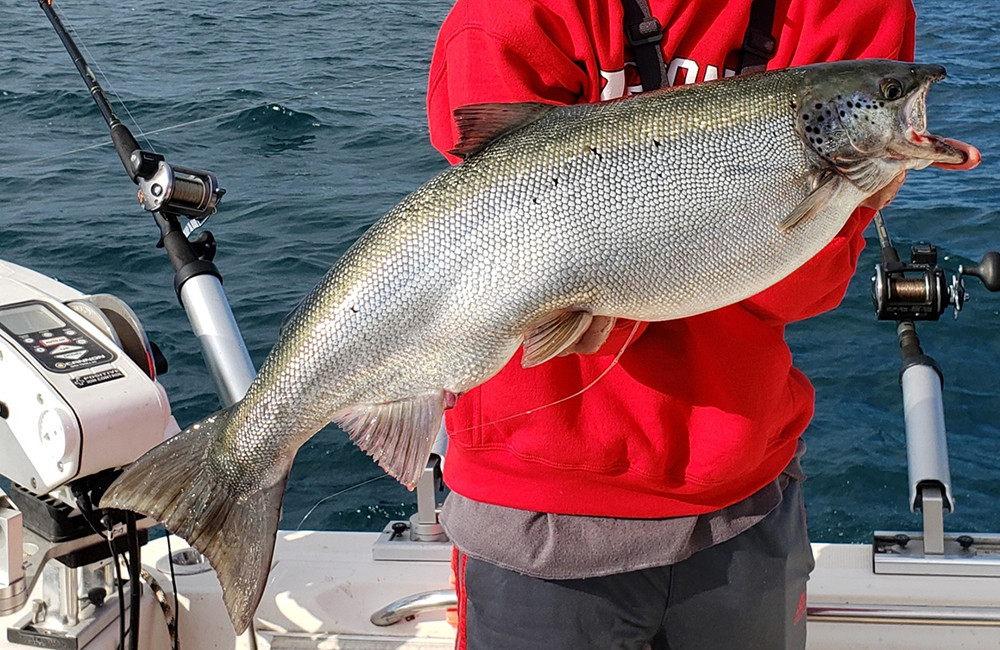 Journal of Great Lakes Research