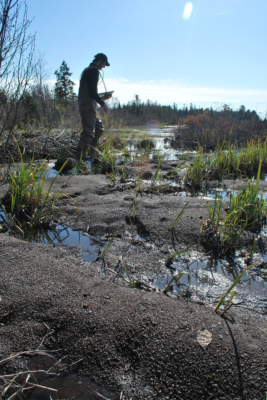 Thursday morning at the office